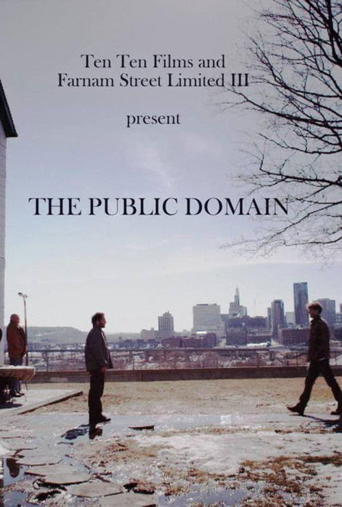 The Public Domain (2015) poster