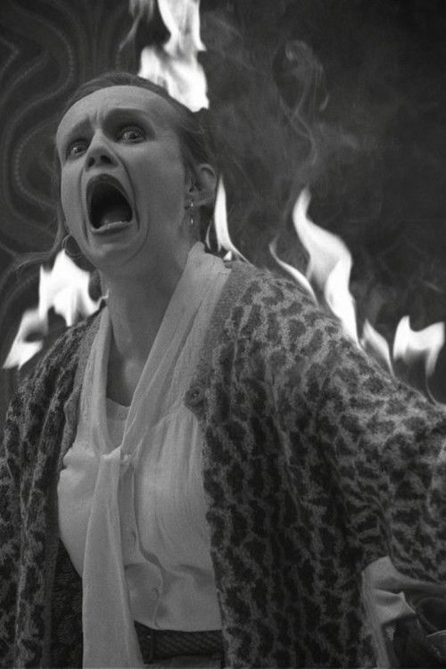 Maid on Fire! (2008) poster