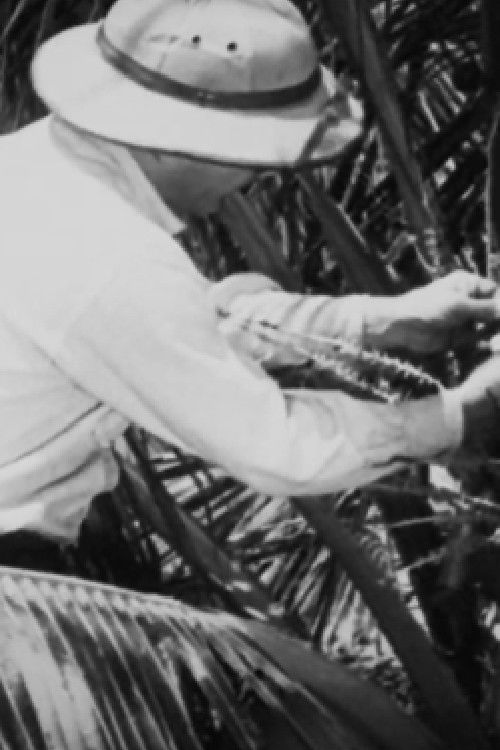 Álbum Cinematográfico de Sergipe (1945) poster