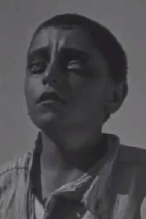 ვლადიმერ ჭიაურელი