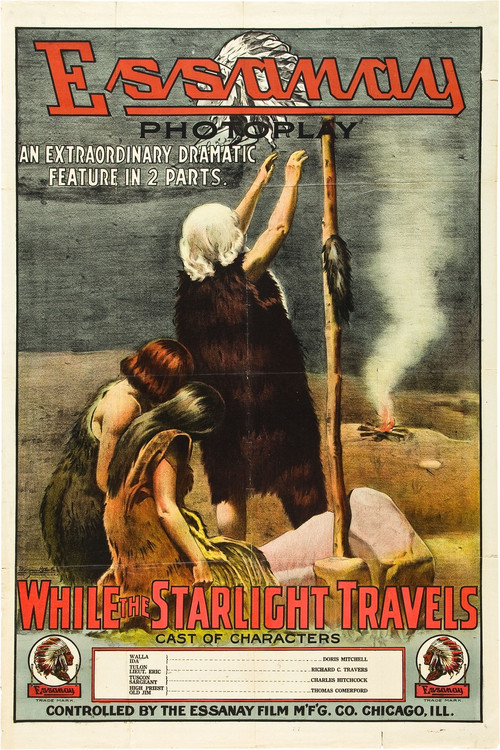 While the Starlight Travels (1913) poster