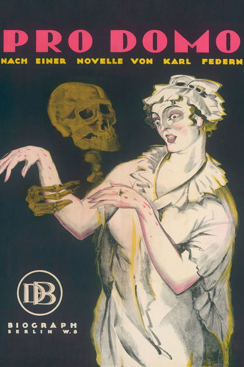 Pro domo (1919) poster