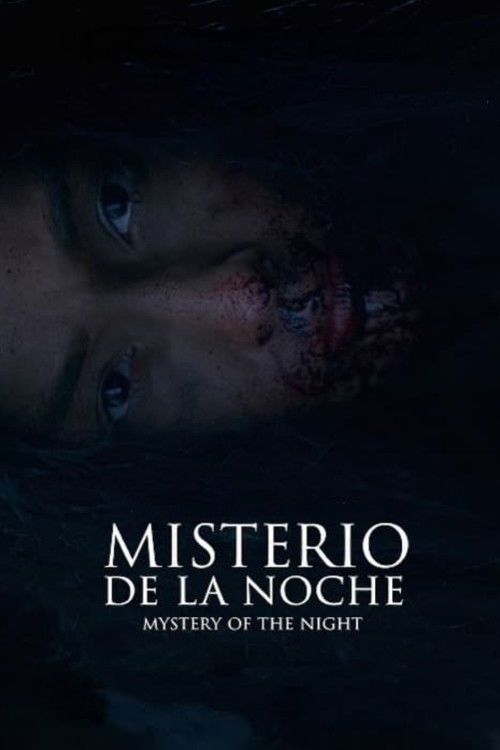 Mystery of the Night (2019) poster