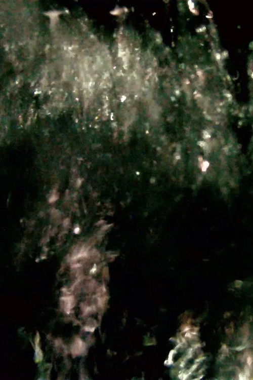 He Maketh a Path to Shine After Him; One Would Think the Deep to Be Hoary (2013) poster