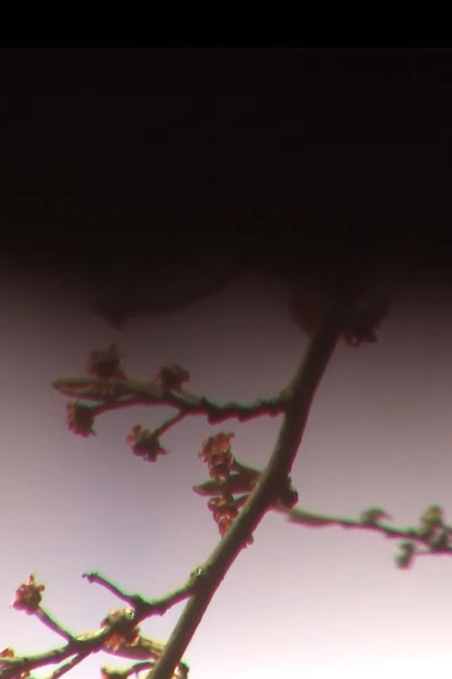 Nuestras Cartas (2022) poster