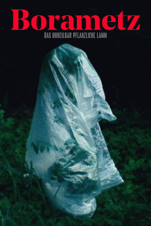 Borametz (2020) poster