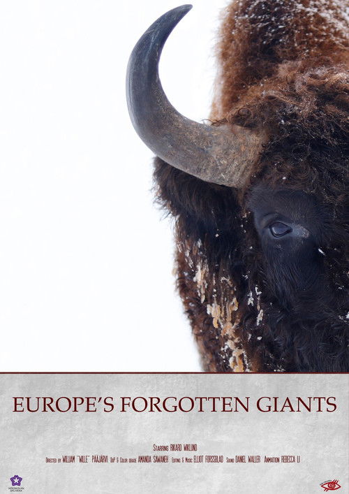 Europe's Forgotten Giants (2025) poster