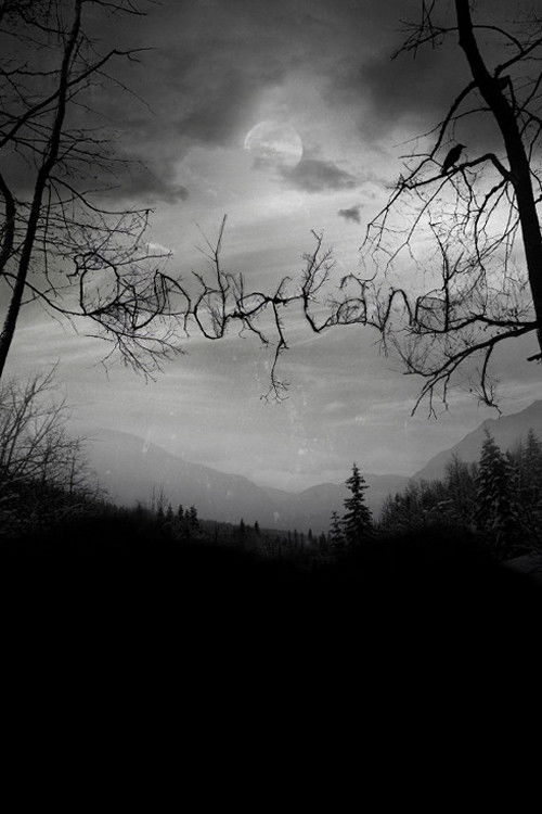 Dunderland (2012) poster