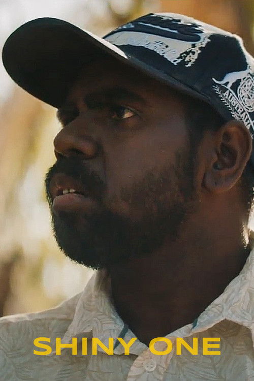 Shiny One (2022) poster