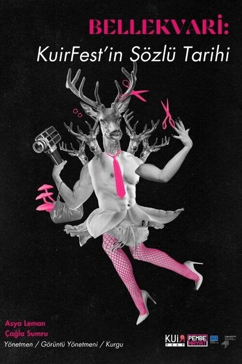 MEMORY-LIKE: An Oral History of QueerFest (2025) poster