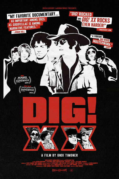 DIG! XX (2024) poster
