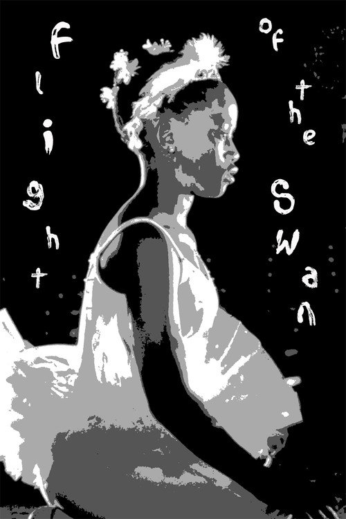 Flight of the Swan (1992) poster