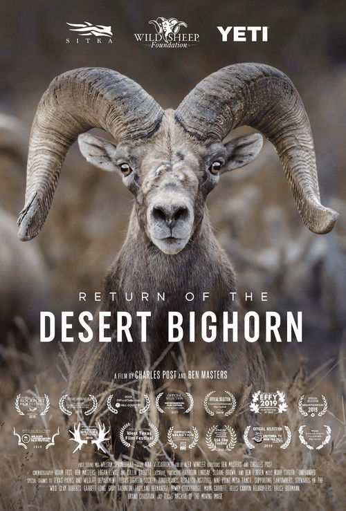 Return of the Desert Bighorn (2018) poster