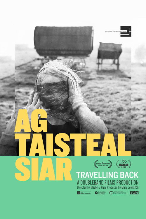 Travelling Back (2025) poster