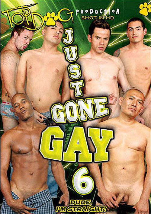 Just Gone Gay 6 (2009) poster