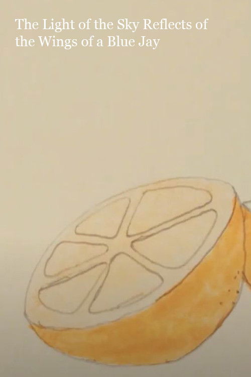 The Light of the Sky Reflects off the Wings of a Blue Jay (2019) poster