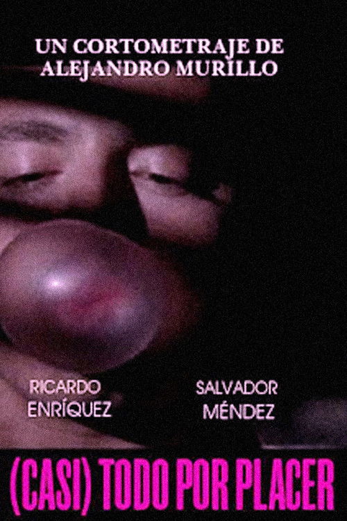 (Almost) Anything for Pleasure (2010) poster