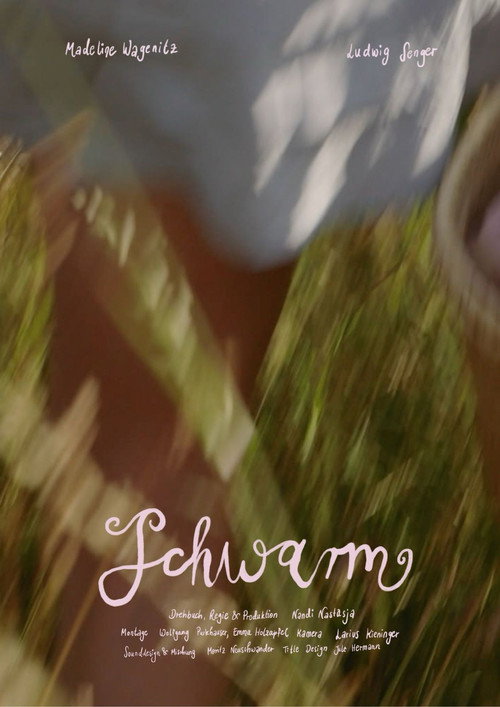 Schwarm (2026) poster