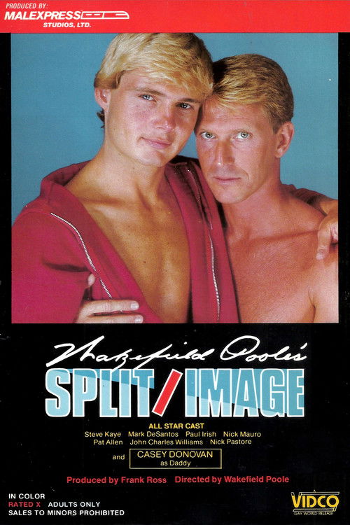 Split/Image (1984) poster