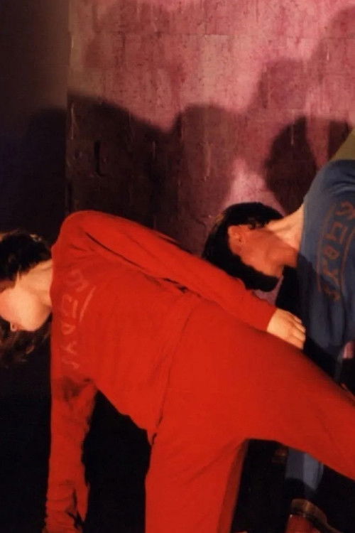 Pas de Stoelen (1994) poster