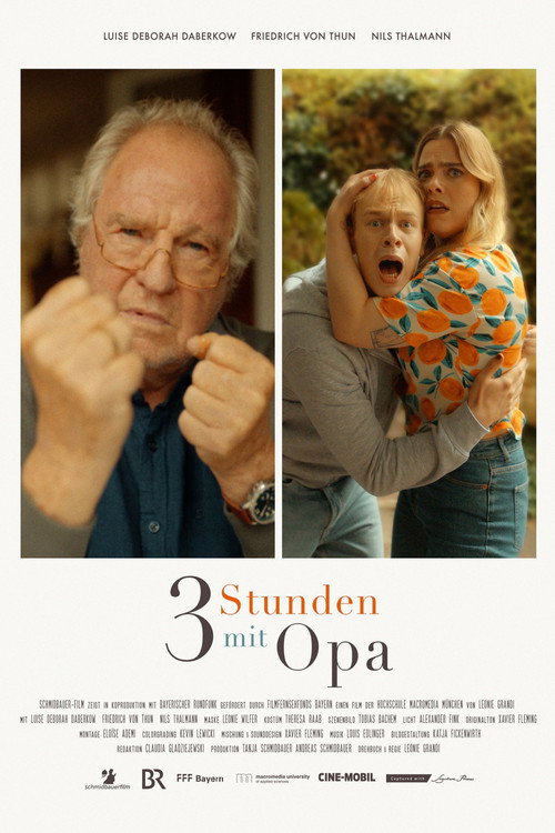 Drei Stunden mit Opa (2024) poster