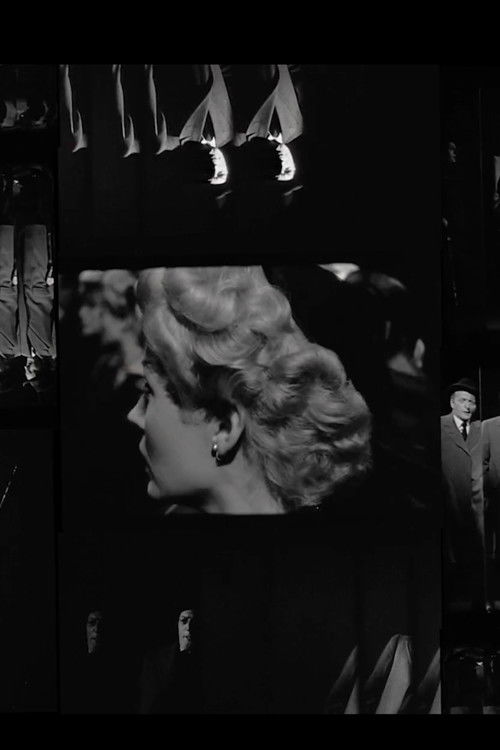 Magic Mirror Maze (2012) poster