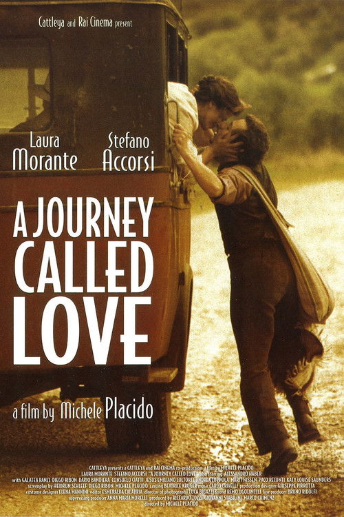 A Journey Called Love (2002) poster