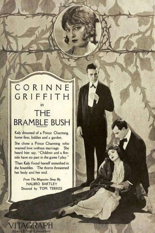 The Bramble Bush (1919) poster