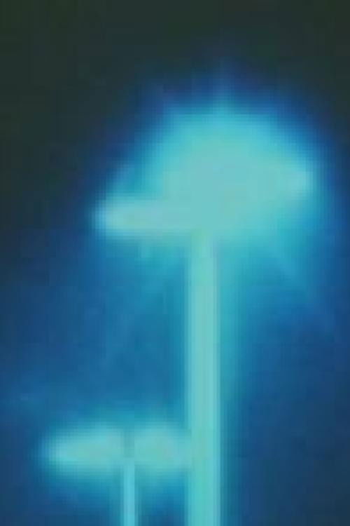 Peripheria (2001) poster