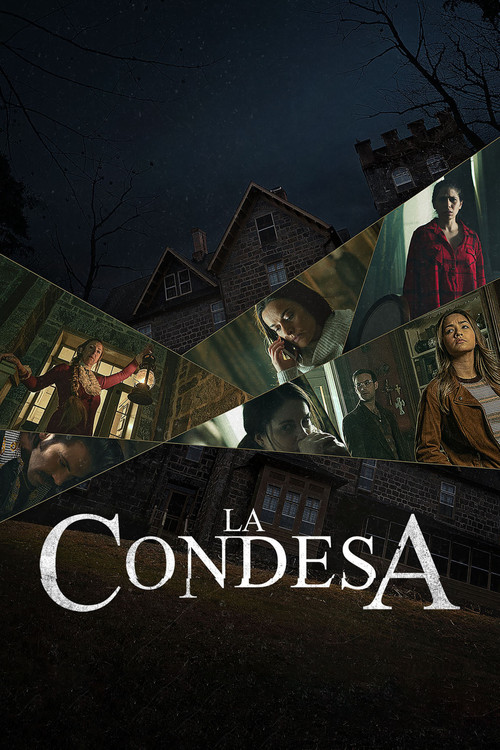La Condesa (2020) poster