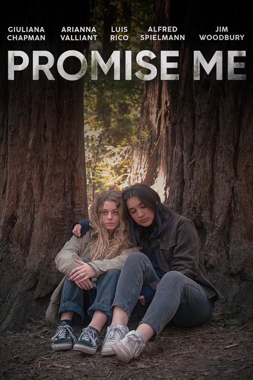 Promise Me (2023) poster