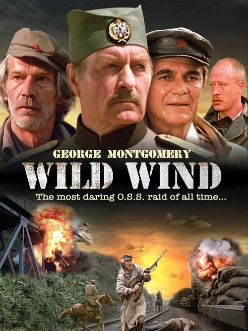 Wild Wind (1985) poster