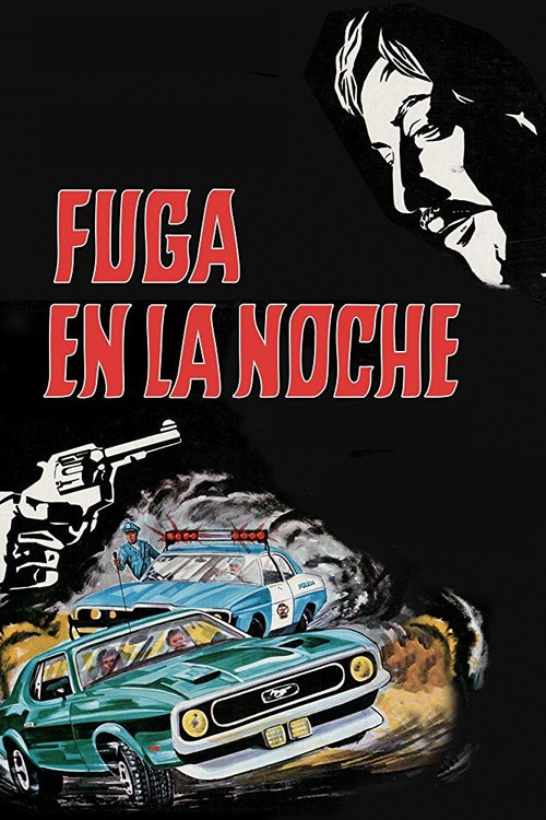 Fuga en la noche (1973) poster