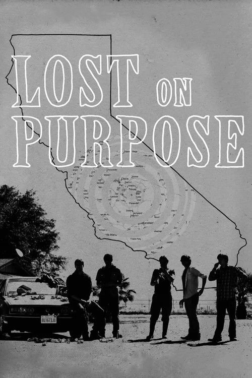 Lost on Purpose (2013) poster