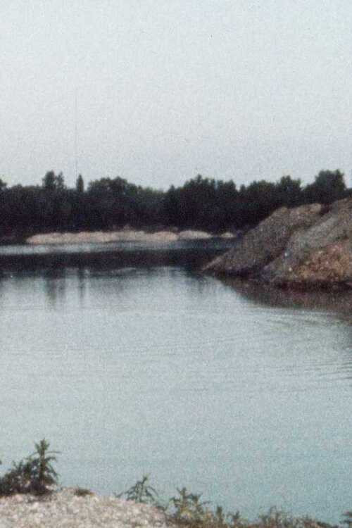 Les Ronds dans l'eau (1975) poster