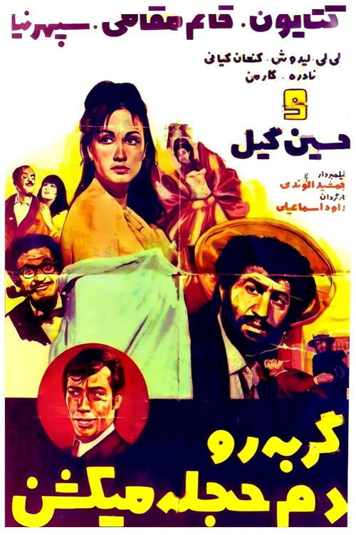 گربه را دم حجله می‌کشند (1969) poster