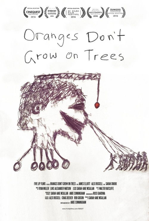 Oranges Don't Grow On Trees (2016) poster