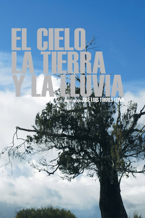 The Sky, the Earth and the Rain (2008) poster