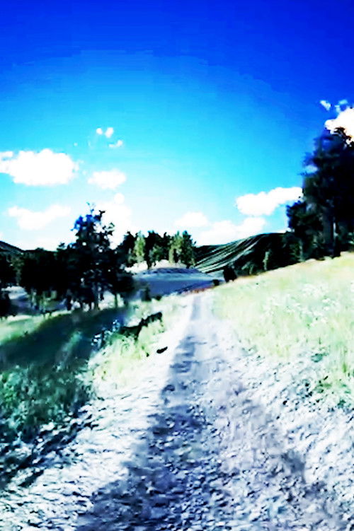 life/like (2021) poster