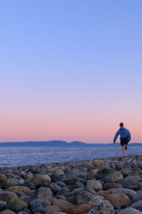 The Beauty Of Summer Like Weather (2024) poster