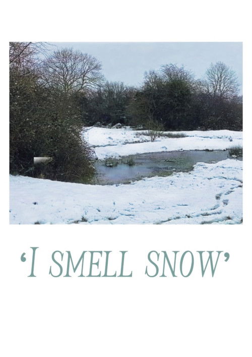 ‘I smell snow’ (2024) poster
