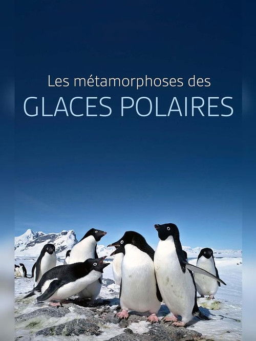 Les métamorphoses des glaces polaires : Un défi pour les écosystèmes (2024) poster