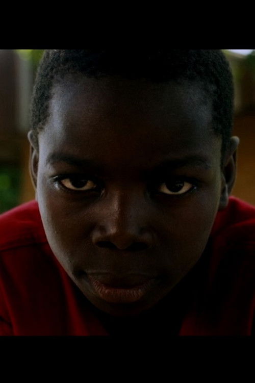 Troublemaker (2019) poster