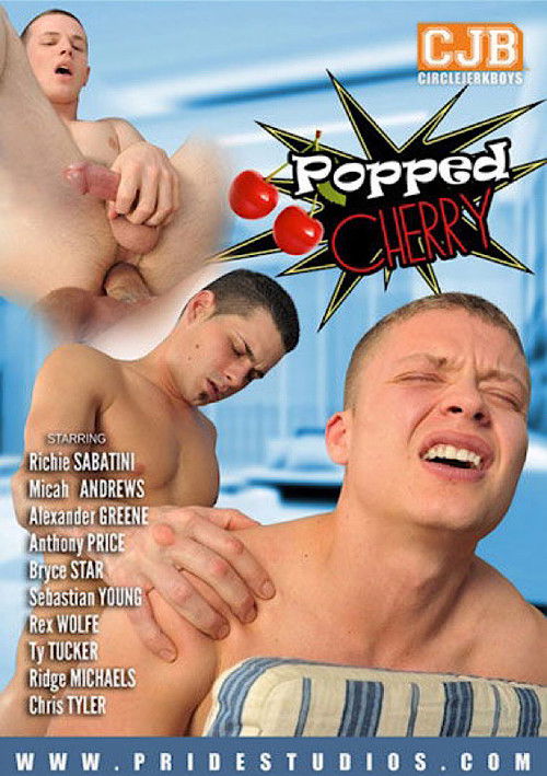 Popped Cherry (2015) poster