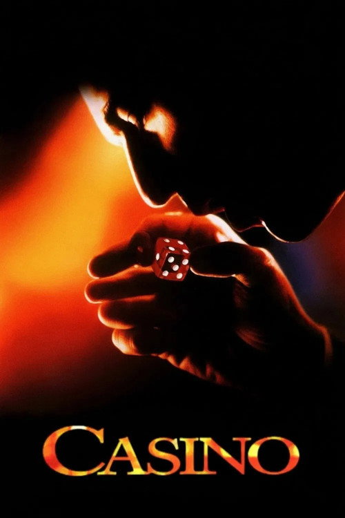 Casino: The Story (2005) poster
