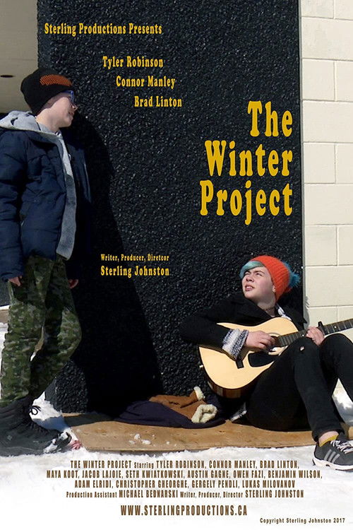 The Winter Project (2017) poster