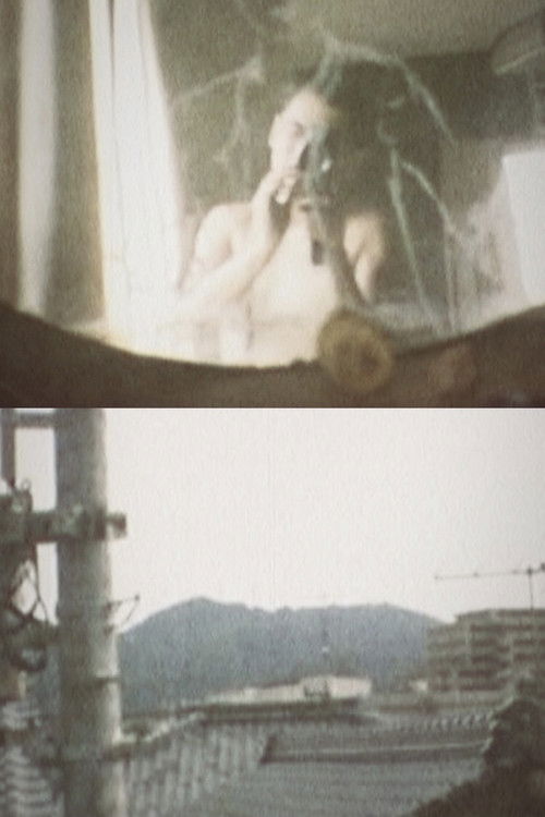 Creation of a Single Powder Painting (2013) poster