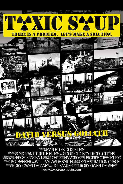 Toxic Soup (2010) poster