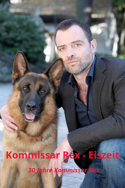 Kommissar Rex - Eiszeit (2013) poster
