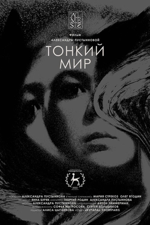 Subtle World (2022) poster